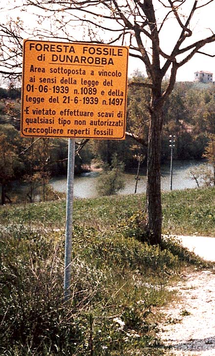 La foresta fossile di Dunarobba