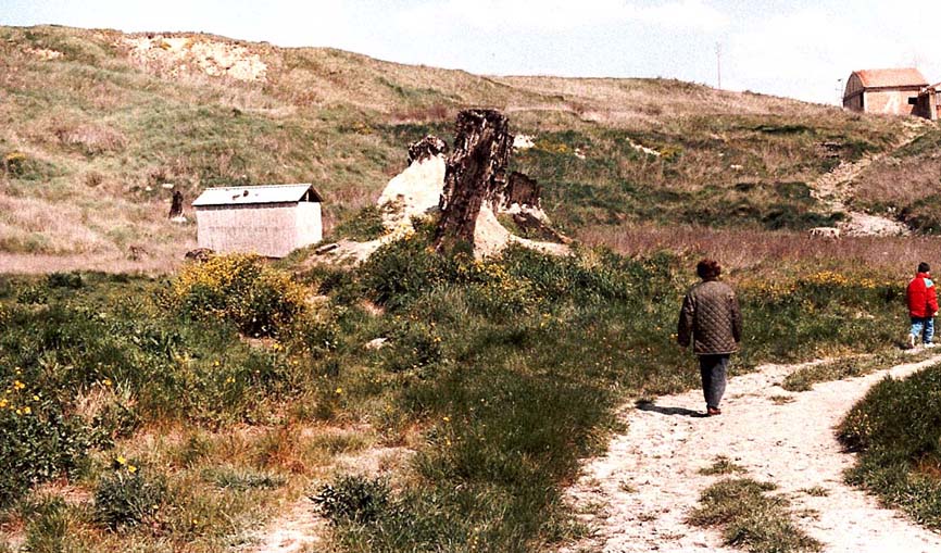 La foresta fossile di Dunarobba