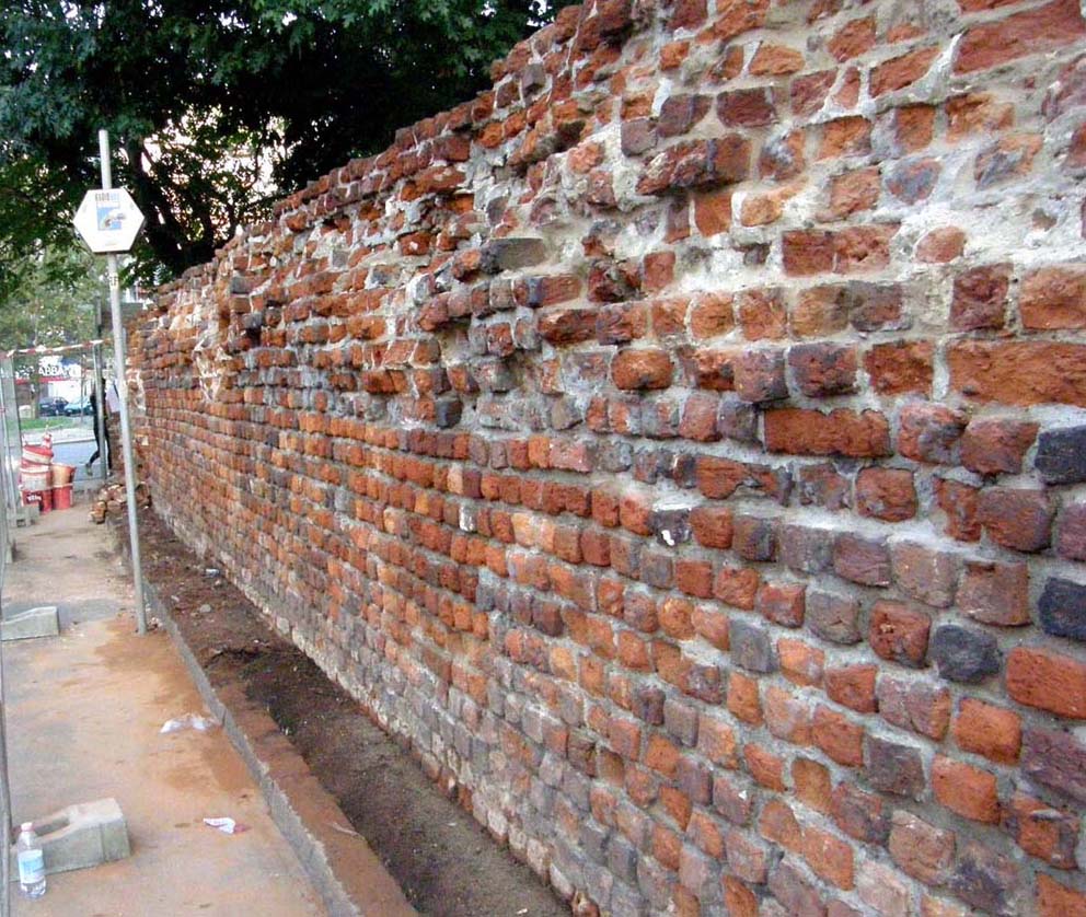 I muschi riconquistano le Mura Spagnole