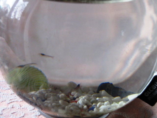 un ecosistema autarchico