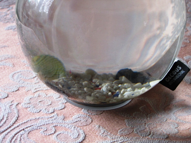 un ecosistema autarchico