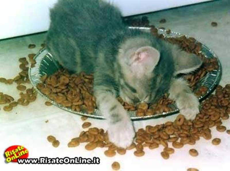 una cosa angosciosa e seria