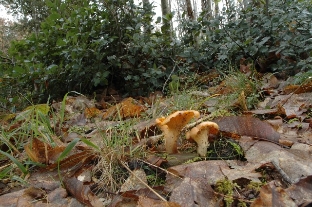 Ultime uscite, prime foto dell''anno.