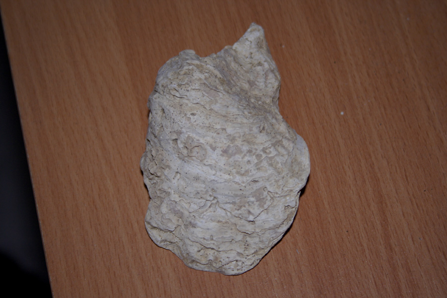 fossili richiesta classificazione