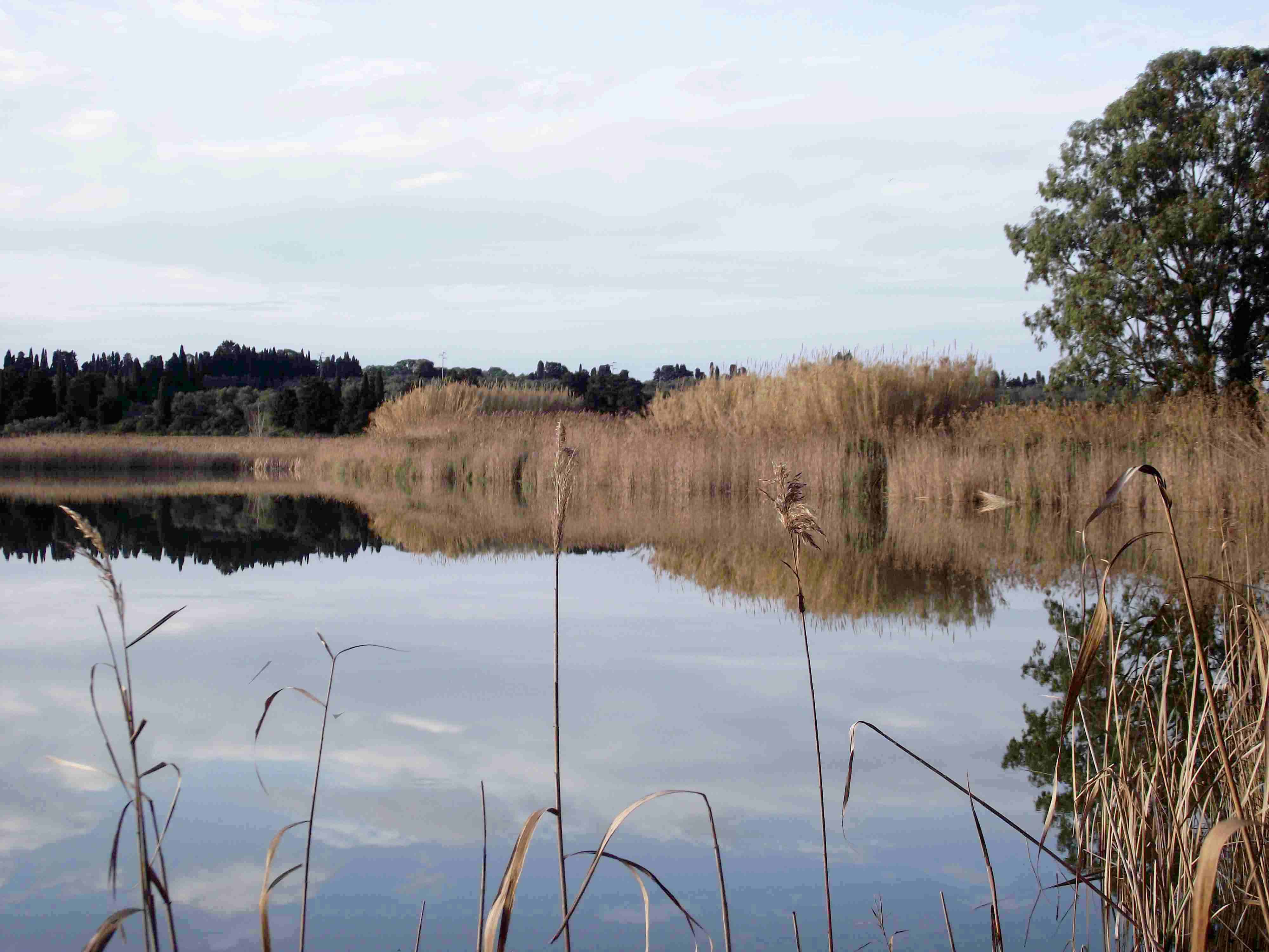 Laghi.......della PUGLIA