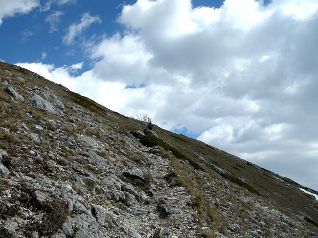 Monte Amaro nel Parco Nazionale d''Abruzzo