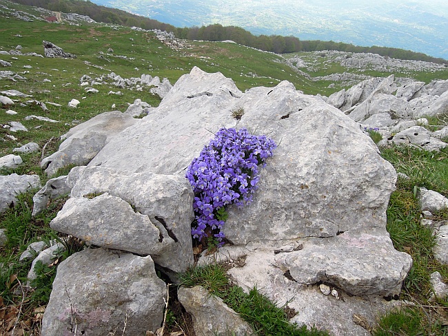 Catena dei Monti della Meta