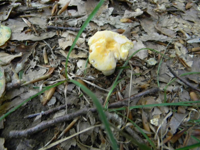 Escursione 8.10.2010.