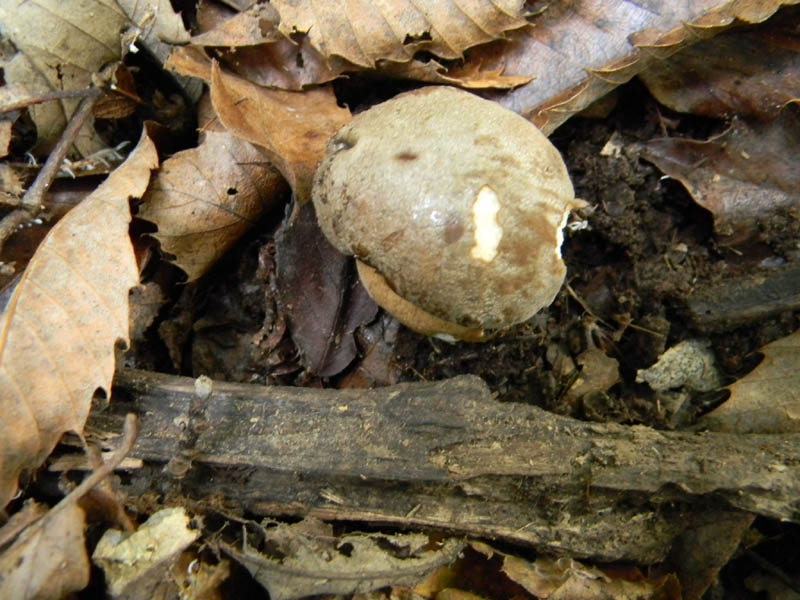 Escursione 8.10.2010.