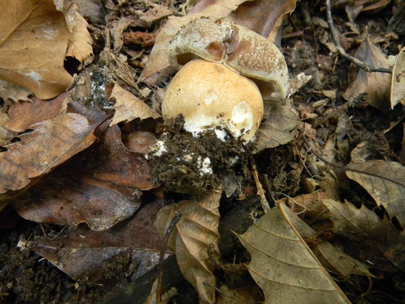 Escursione 8.10.2010.