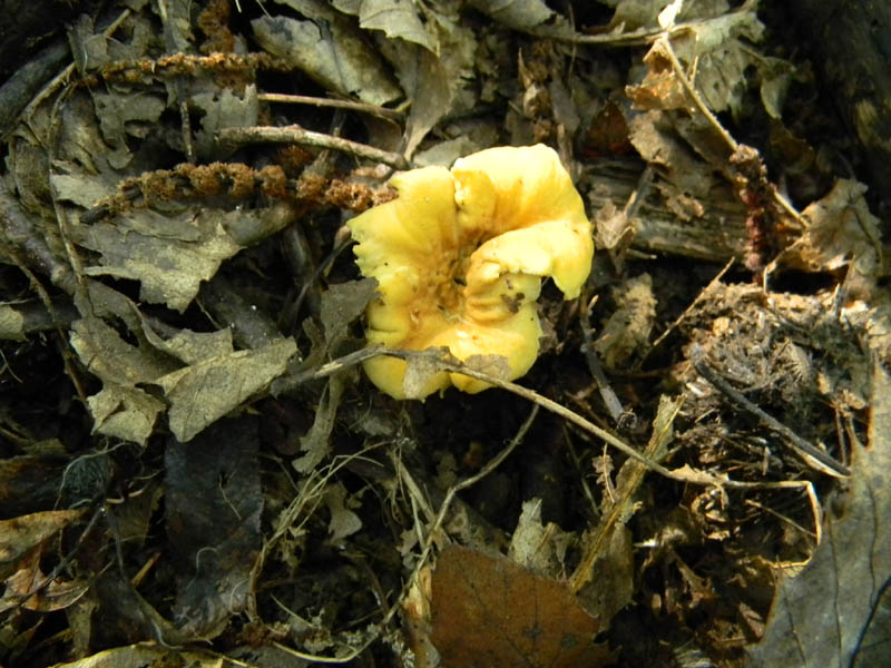 Escursione 8.10.2010.