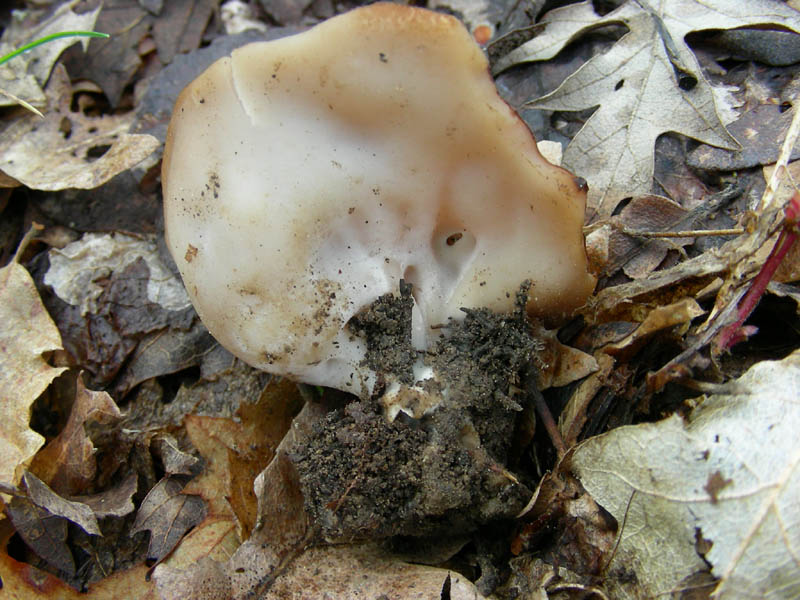 Vecchio ritrovamento.