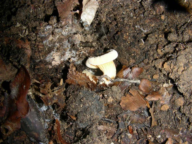 Strano ritrovamento fotog.il 9.10.2010