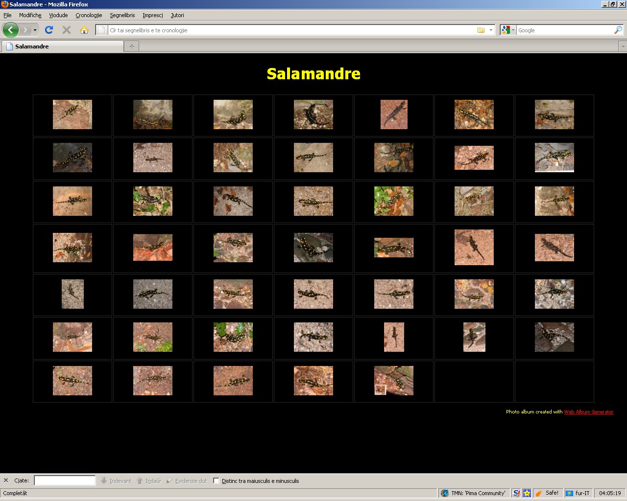 Database Salamandre