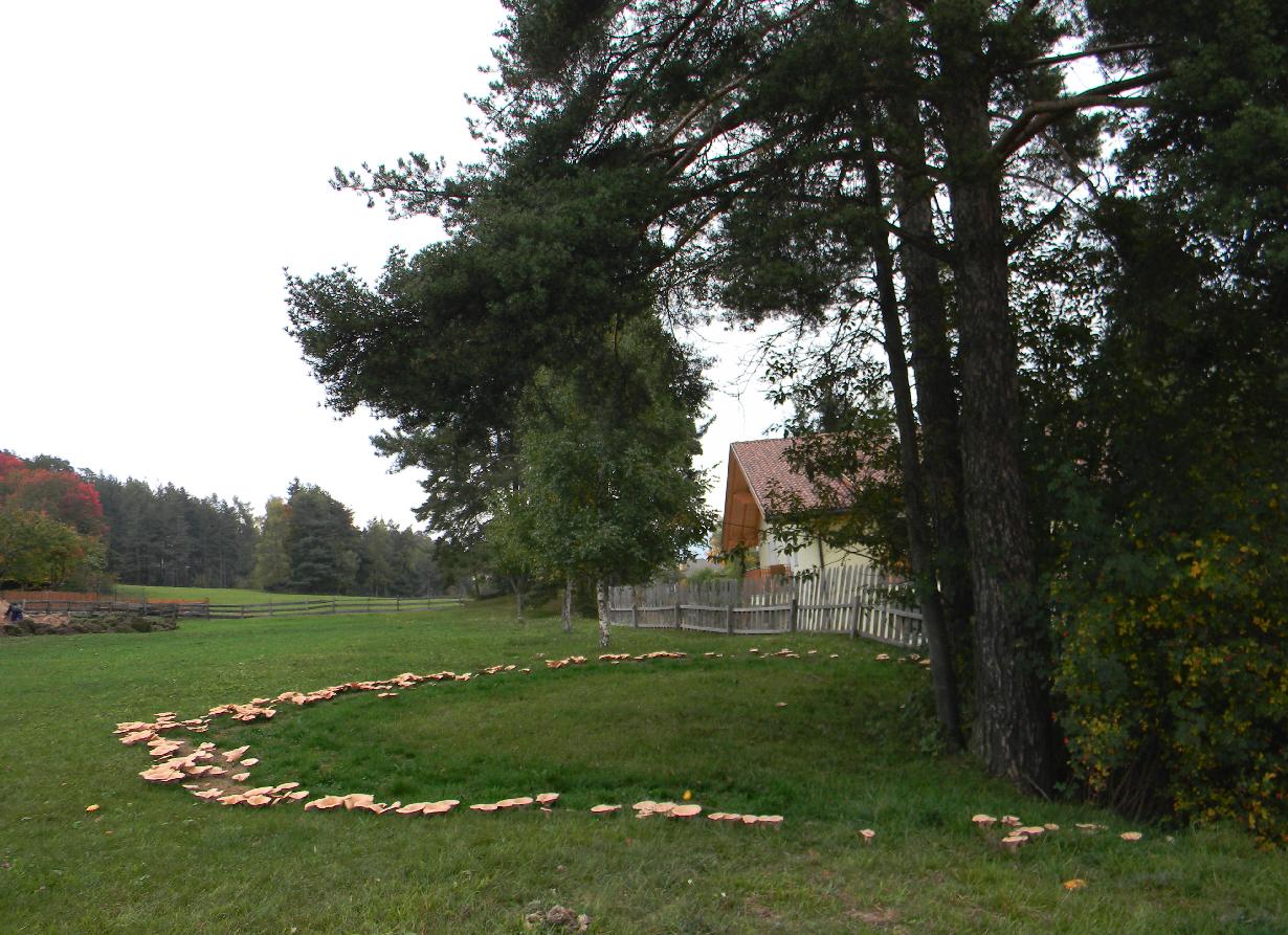 Cerchio delle streghe
