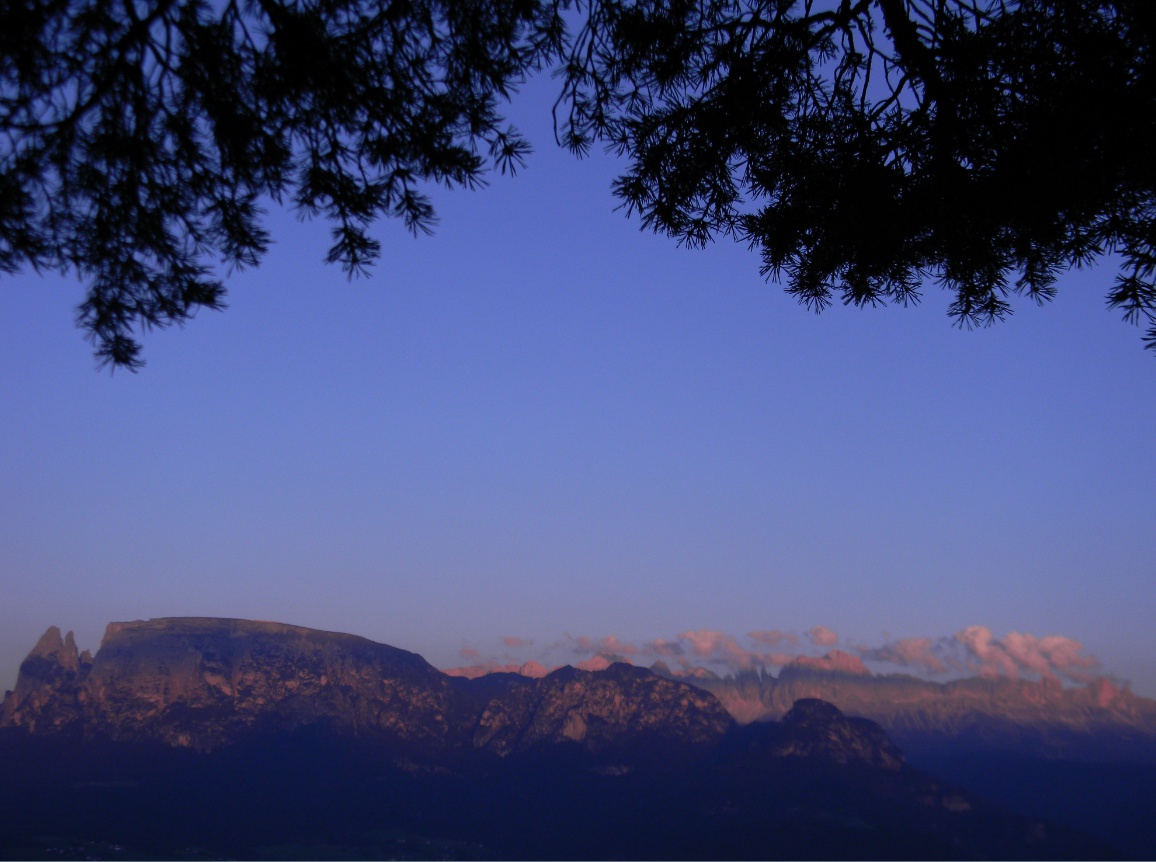 Stagno altoatesino... canti rana di Lessona e ululone