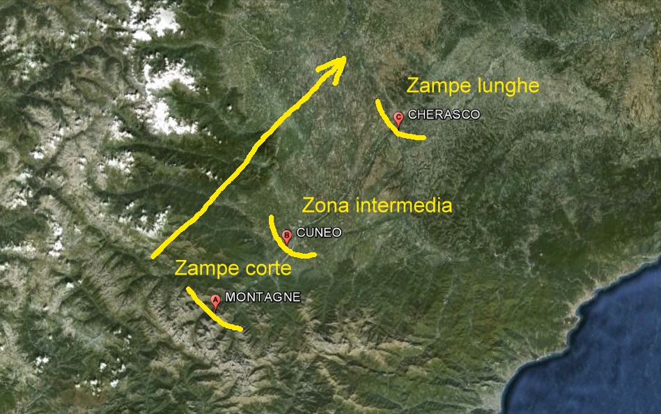 solito dilemma