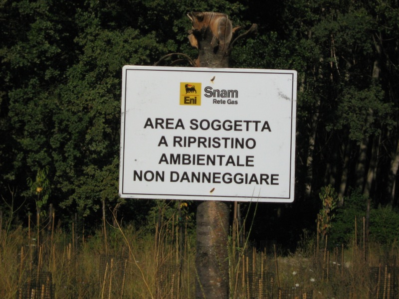 Il Bosco di S. Anselmo (con aggiornamenti)