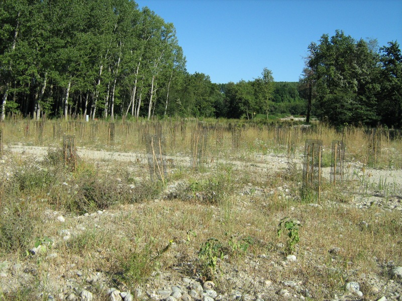 Il Bosco di S. Anselmo (con aggiornamenti)