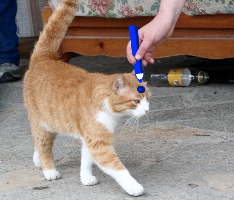 Battuta senza foto 3