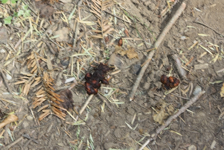 Fatte da identificare