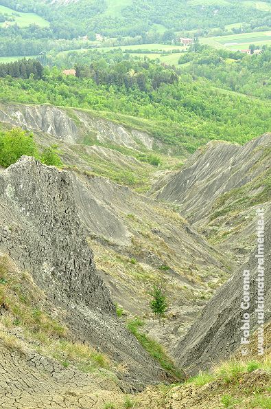 Calanchi bolognesi