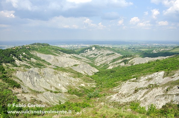 Calanchi bolognesi