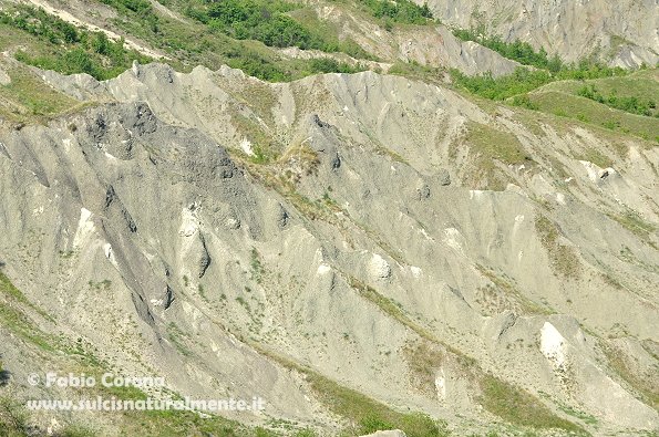 Calanchi bolognesi