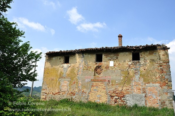 Calanchi bolognesi