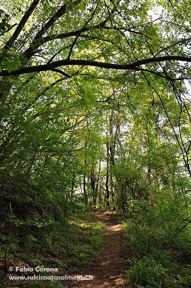 Parco Storico di Monte Sole