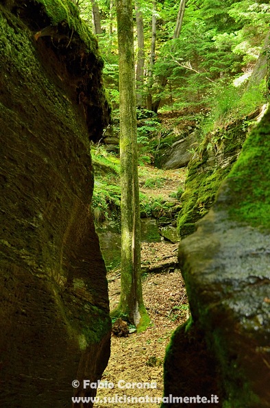 Valle Antigorio: orridi e marmitte dei giganti