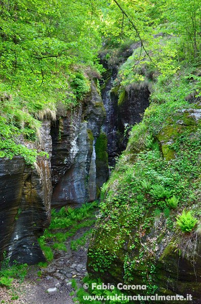 Valle Antigorio: orridi e marmitte dei giganti