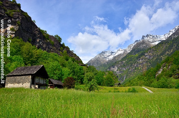 Valle Antigorio: orridi e marmitte dei giganti