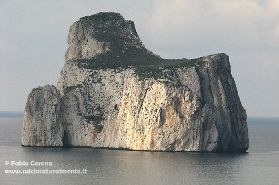Pan di Zucchero
