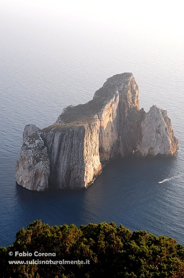 Pan di Zucchero