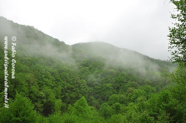 PN Foreste Casentinesi: San Benedetto in Alpe