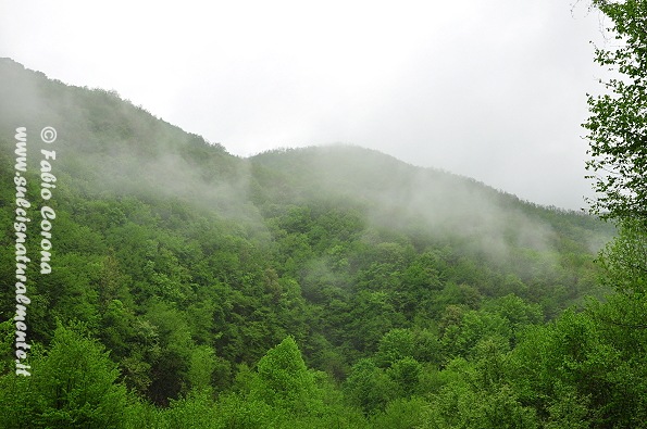 PN Foreste Casentinesi: San Benedetto in Alpe