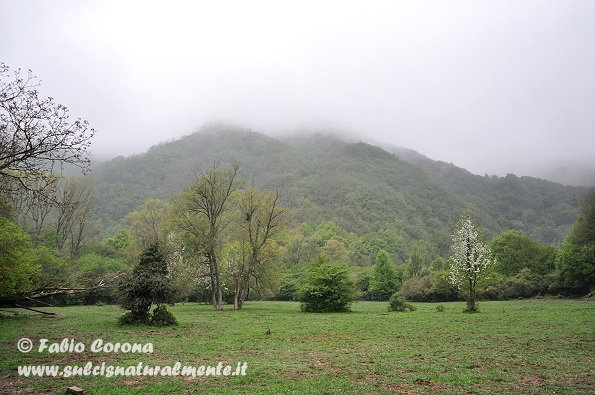 PN Foreste Casentinesi: San Benedetto in Alpe