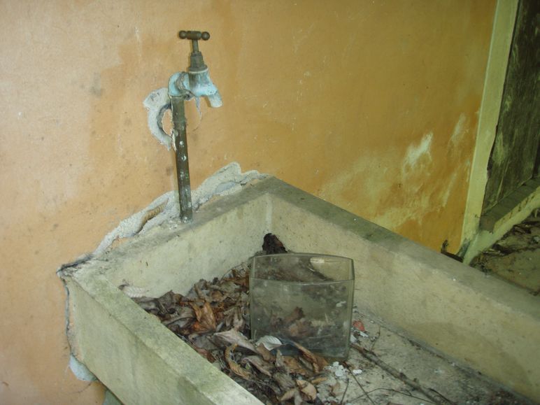 Biacchi spericolati...: da brivido!