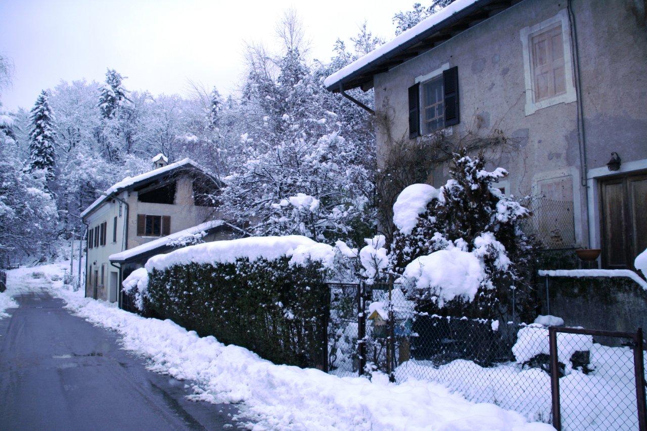 Richiesta di aiuto: foto azzurre