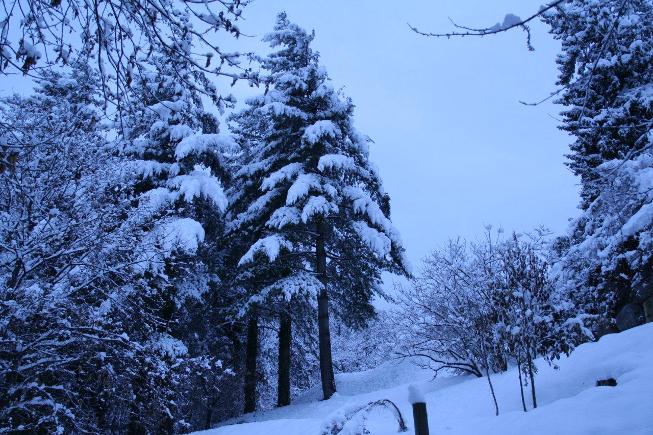 Richiesta di aiuto: foto azzurre