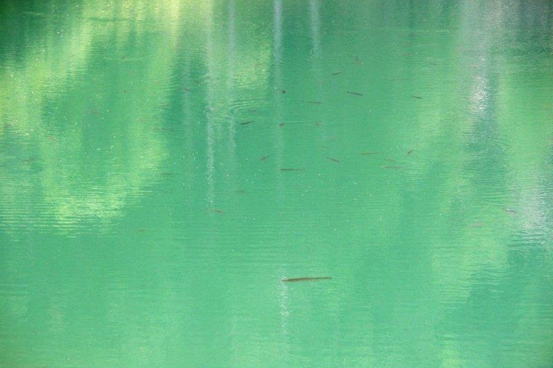 Laghi .......della LIGURIA