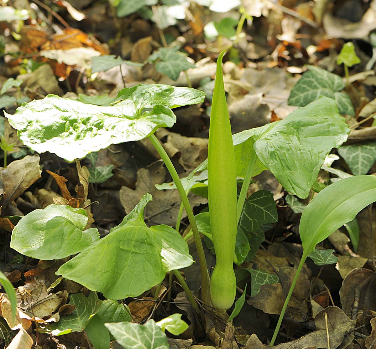 Emozionante incontro