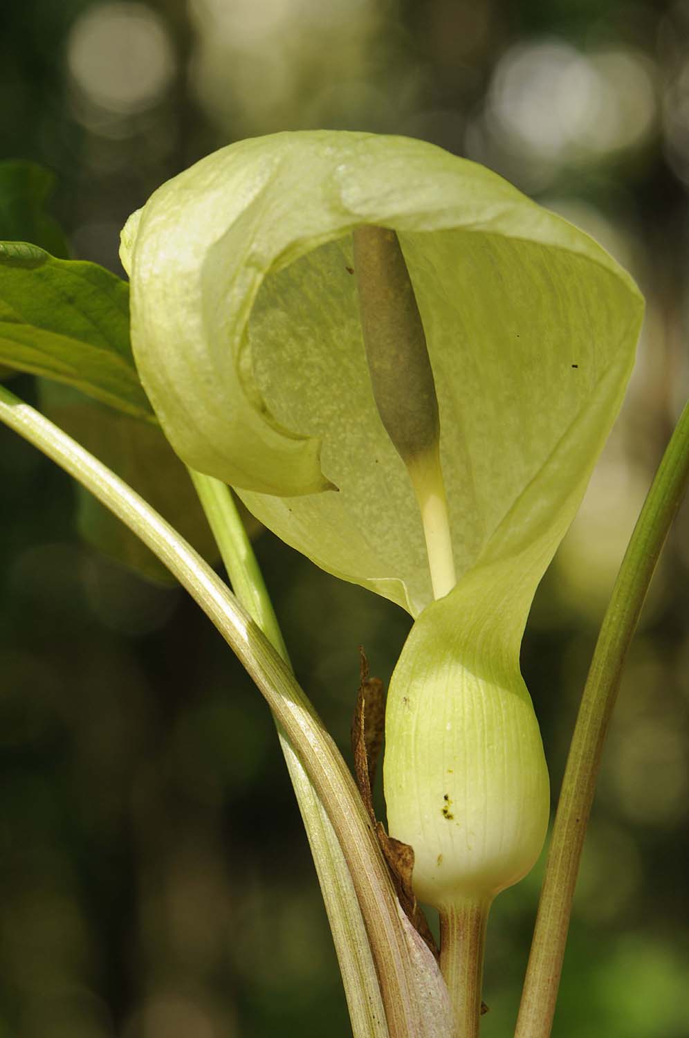 Emozionante incontro