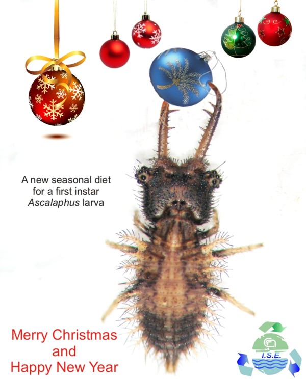 Buone feste da Neurolandia