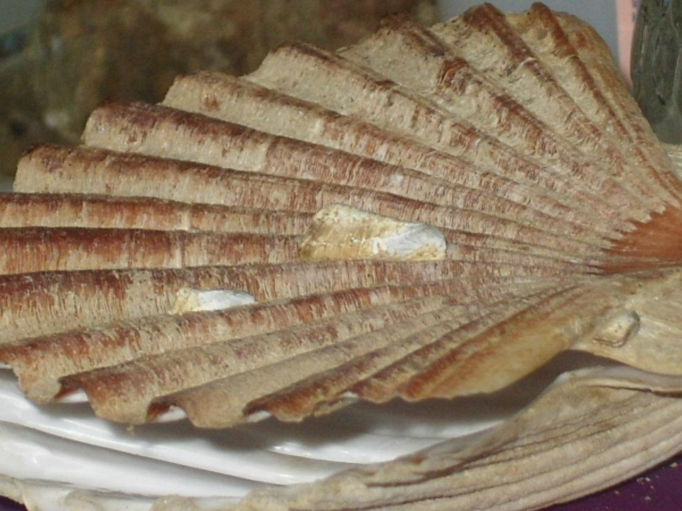Identificazione??