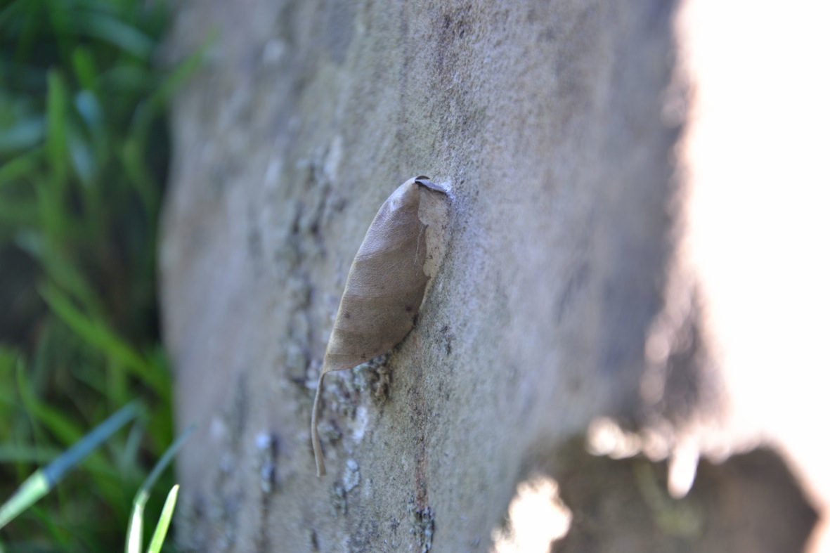 casetta per l''inverno