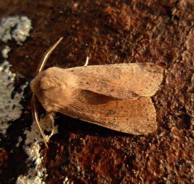 questo anno i problemi sono gi� cominciati