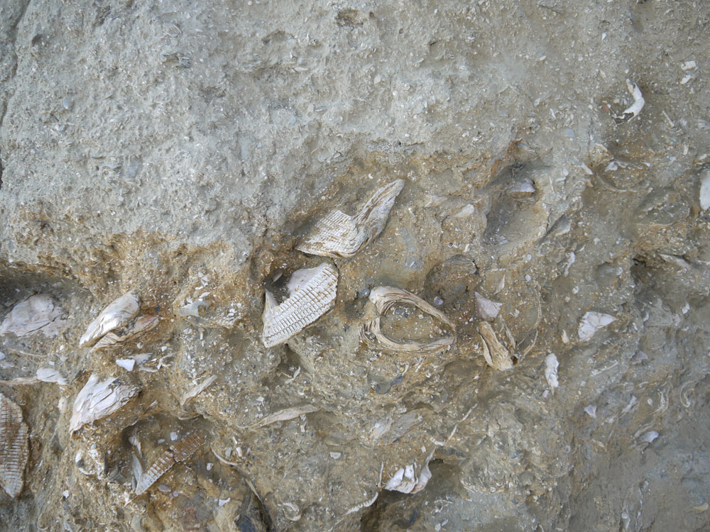 Inaugurazione Geosito Cortiglione d''Asti