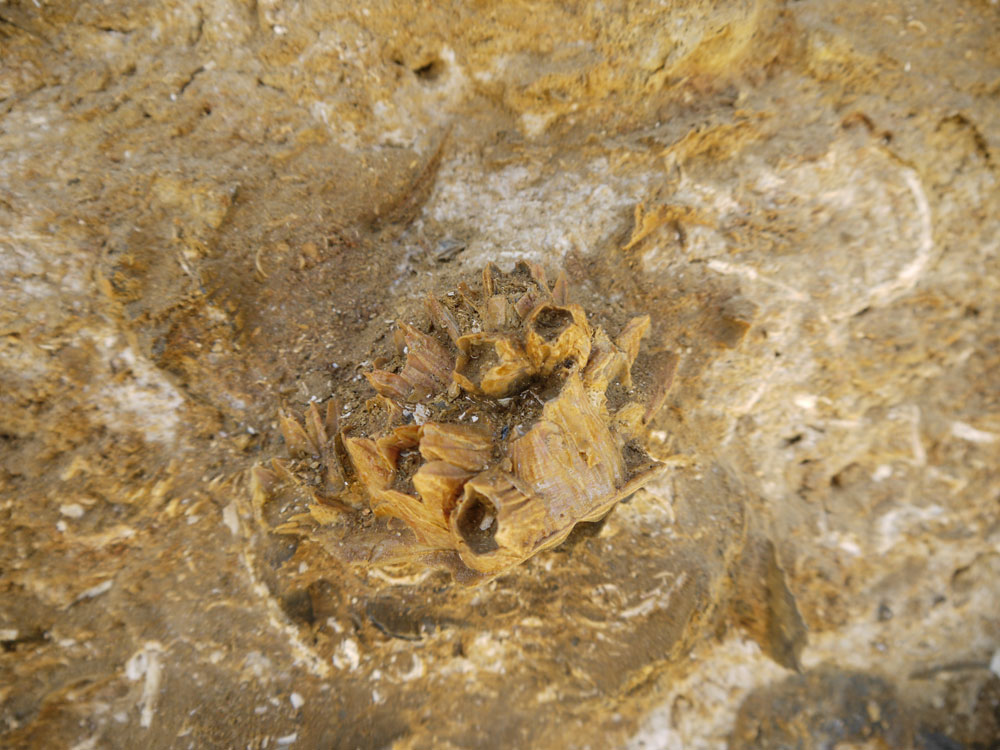 Inaugurazione Geosito Cortiglione d''Asti